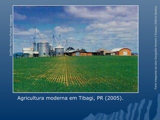 ParteintegrantedaobraGeografiaHomemeEspaço,EditoraSaraiva
Agricultura moderna em Tibagi, PR (2005).
DelfimMartins/PulsarImagens
 