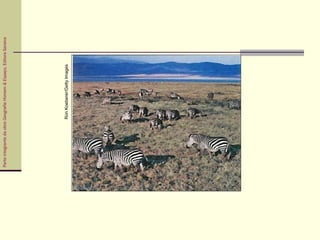 ParteintegrantedaobraGeografiaHomem&Espaço,EditoraSaraiva
RonKoeberer/GettyImages
 