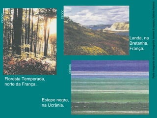 ParteintegrantedaobraGeografiahomem&espaço,EditoraSaraiva
Floresta Temperada,
norte da França.
CEDOC
CEDOC
CEDOC
Estepe negra,
na Ucrânia.
Landa, na
Bretanha,
França.
 