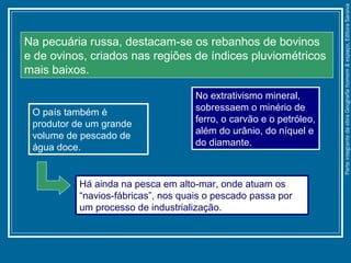 O país também é
produtor de um grande
volume de pescado de
água doce.
No extrativismo mineral,
sobressaem o minério de
ferro, o carvão e o petróleo,
além do urânio, do níquel e
do diamante.
Na pecuária russa, destacam-se os rebanhos de bovinos
e de ovinos, criados nas regiões de índices pluviométricos
mais baixos.
Há ainda na pesca em alto-mar, onde atuam os
“navios-fábricas”, nos quais o pescado passa por
um processo de industrialização.
ParteintegrantedaobraGeografiahomem&espaço,EditoraSaraiva
 