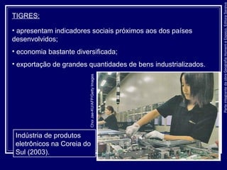 ParteintegrantedaobraGeografiaHomemeEspaço,EditoraSaraiva
TIGRES:
• apresentam indicadores sociais próximos aos dos países
desenvolvidos;
• economia bastante diversificada;
• exportação de grandes quantidades de bens industrializados.
Indústria de produtos
eletrônicos na Coreia do
Sul (2003).
ChoiJae-KU/AFP/GettyImages
 