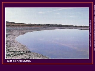 ParteintegrantedaobraGeografiaHomemeEspaço,EditoraSaraiva
AntonieGyori/AGP/Corbis/LatinStock
Mar de Aral (2005).
 