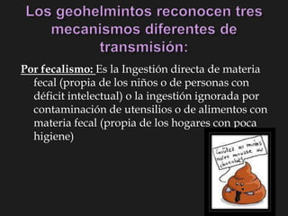 Por fecalismo: Es la Ingestión directa de materia
fecal (propia de los niños o de personas con
déficit intelectual) o la ingestión ignorada por
contaminación de utensilios o de alimentos con
materia fecal (propia de los hogares con poca
higiene)
 