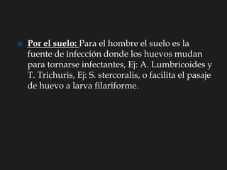  Por el suelo: Para el hombre el suelo es la
fuente de infección donde los huevos mudan
para tornarse infectantes, Ej: A. Lumbricoides y
T. Trichuris, Ej: S. stercoralis, o facilita el pasaje
de huevo a larva filariforme.
 