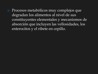  Procesos metabólicos muy complejos que
degradan los alimentos al nivel de sus
constituyentes elementales y mecanismos de
absorción que incluyen las vellosidades, los
enterocitos y el ribete en cepillo.
 