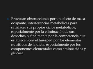  Provocan obstrucciones por un efecto de masa
ocupante, interferencias metabólicas para
satisfacer sus propios ciclos metabólicos,
especialmente por la eliminación de sus
desechos, y finalmente por la competencia que
establecen con el huésped por los elementos
nutritivos de la dieta, especialmente por los
componentes elementales como aminoácidos y
glucosa.
 