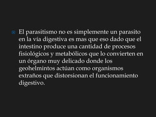  El parasitismo no es simplemente un parasito
en la vía digestiva es mas que eso dado que el
intestino produce una cantidad de procesos
fisiológicos y metabólicos que lo convierten en
un órgano muy delicado donde los
geohelmintos actúan como organismos
extraños que distorsionan el funcionamiento
digestivo.
 