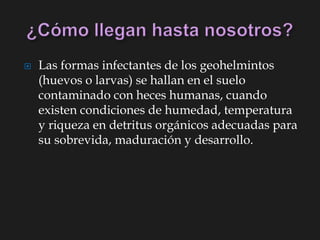  Las formas infectantes de los geohelmintos
(huevos o larvas) se hallan en el suelo
contaminado con heces humanas, cuando
existen condiciones de humedad, temperatura
y riqueza en detritus orgánicos adecuadas para
su sobrevida, maduración y desarrollo.
 