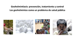 Geohelmintiasis: prevención, tratamiento y control
Los geohelmintos como un problema de salud pública
 