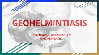 GEOHELMINTIASIS
TRICURIASIS, ASCARIASIS Y
UNCINARIASIS
 