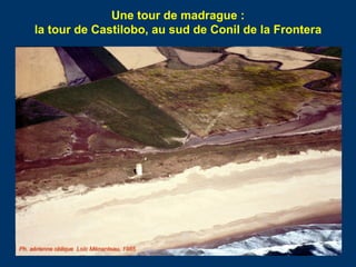 Une tour de madrague :
la tour de Castilobo, au sud de Conil de la Frontera
Ph. aérienne oblique Loïc Ménanteau, 1985
 