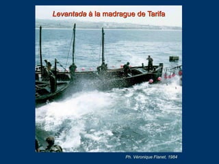 Levantada à la madrague Aguas de Ceuta
Carte photo. Coll. Loic Ménanteau
 