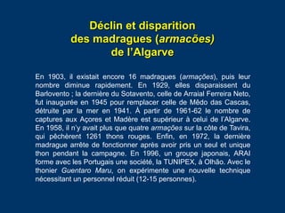 Un patrimoine maritime en voie de disparition :
épaves de bateaux de la madrague de Barbate
Ph. Loïc Ménanteau, mai 1991
 