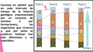 Consiste en admitir que
en cada intervalo de
tiempo de la historia
geológica (representado
por un conjunto de
estratos o por
formaciones), los
organismos que vivieron
y, que por tanto se
pudieron fosilizar han
sido diferentes y no
repetibles.
5.
 