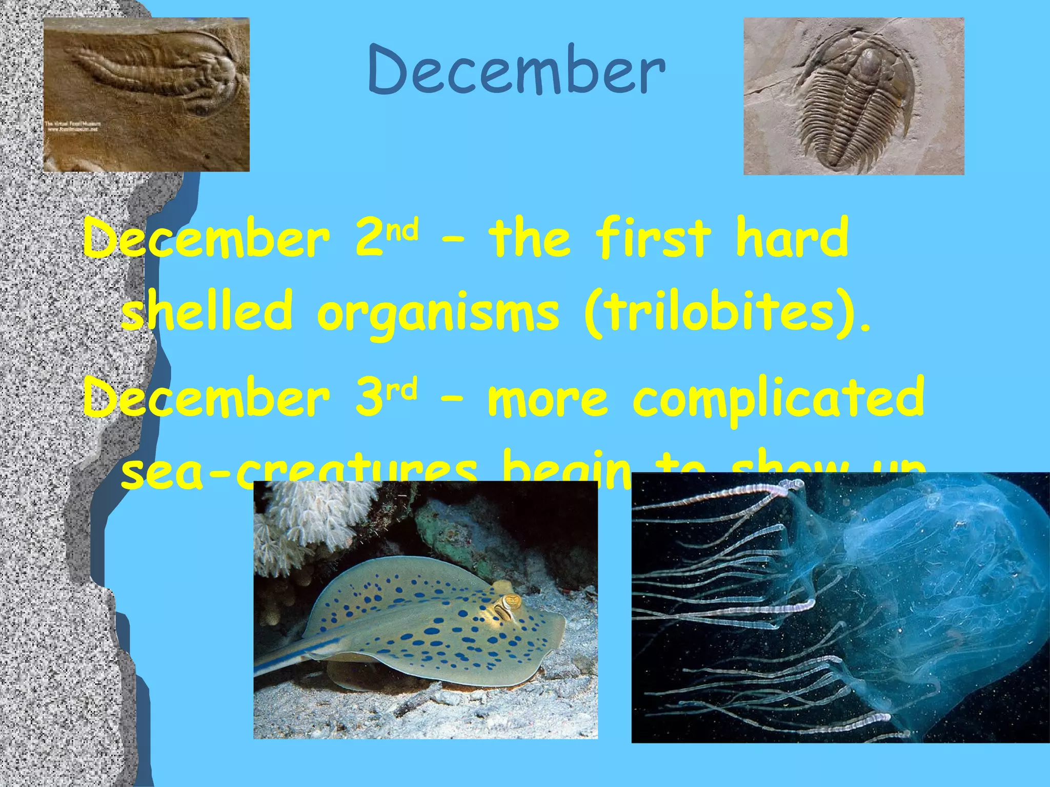 December  December 2 nd  – the first hard shelled organisms (trilobites).  December 3 rd  – more complicated sea-creatures begin to show up. 