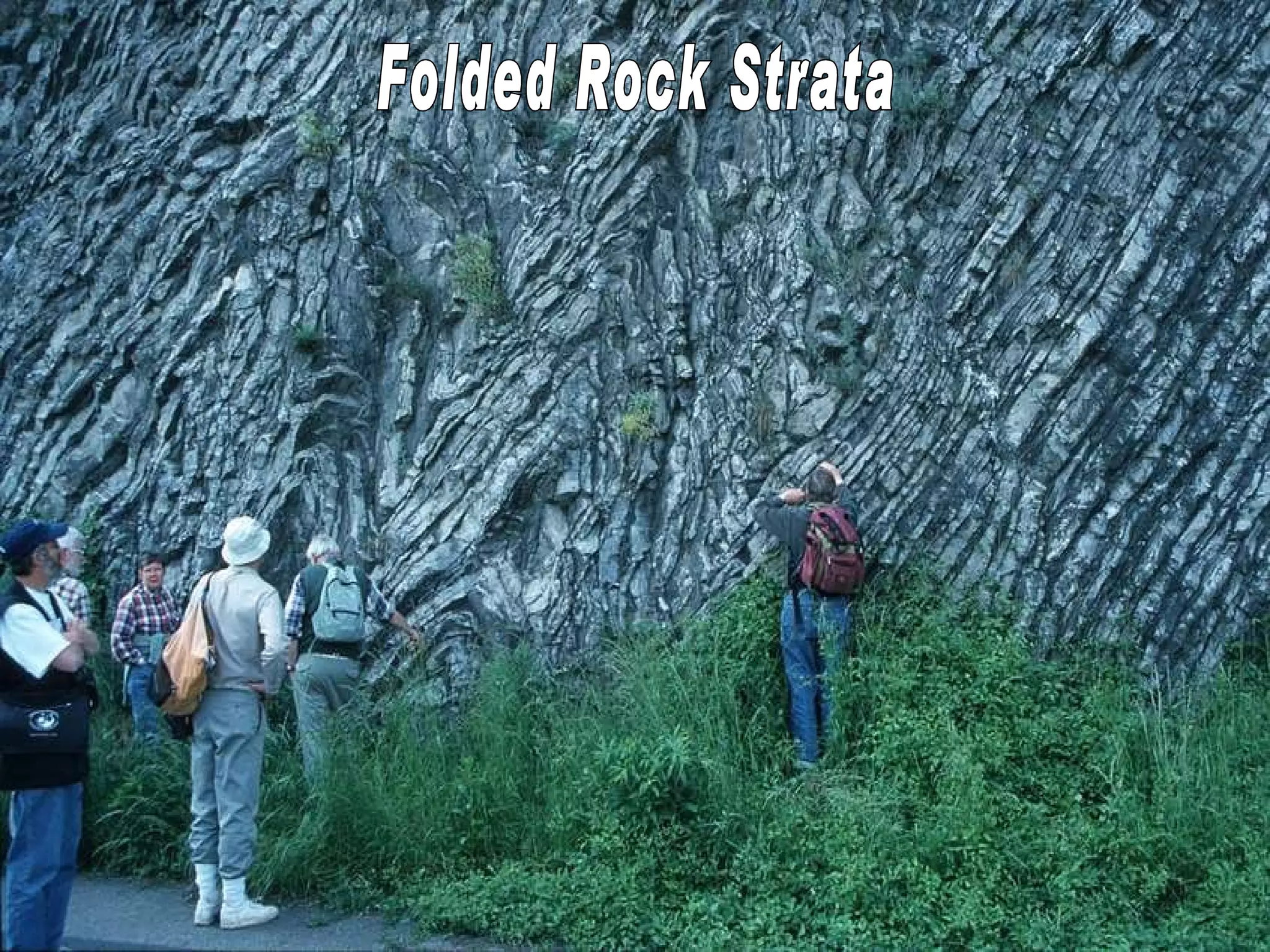 Folded Rock Strata 