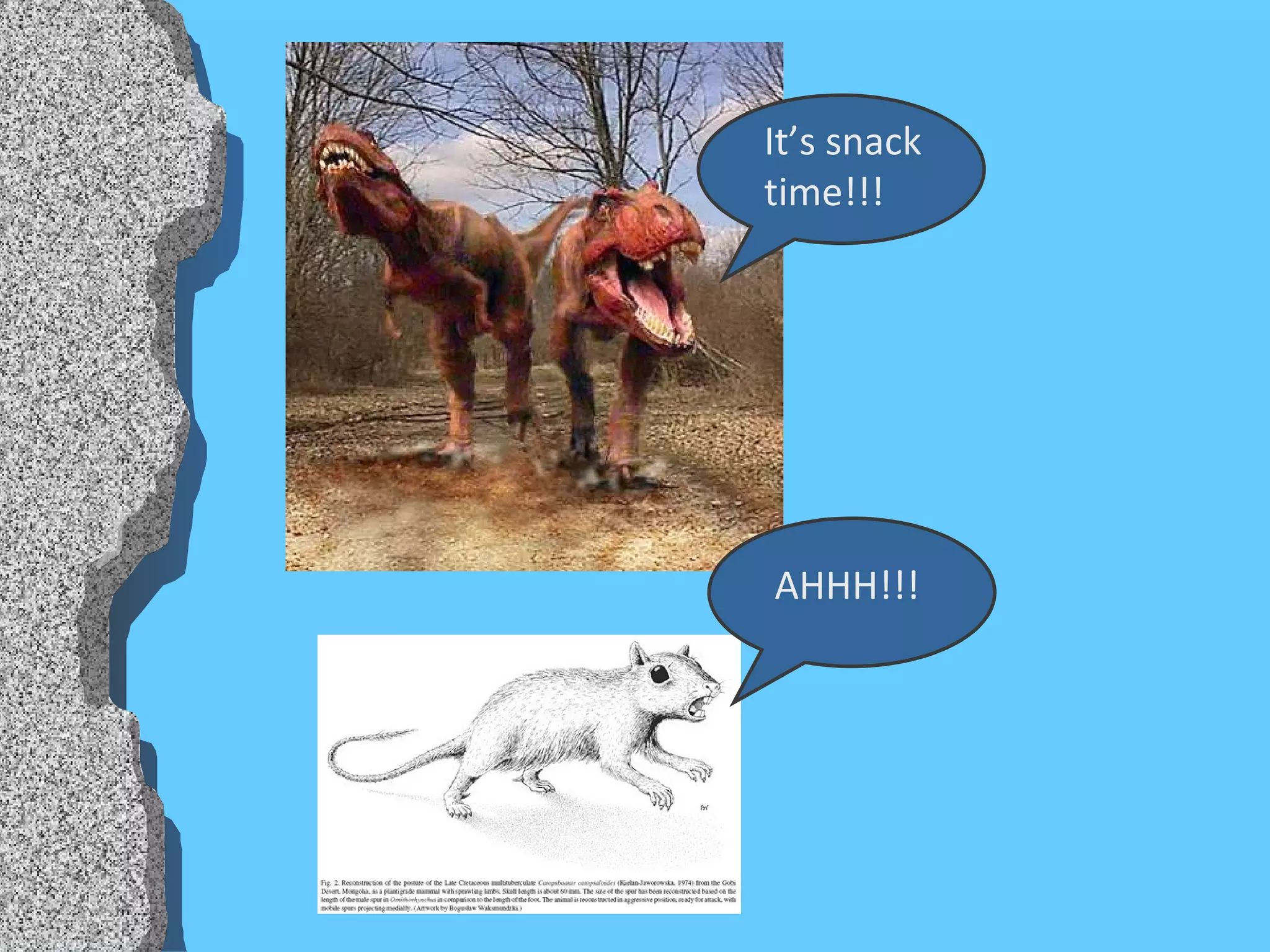 It’s snack time!!! AHHH!!! 