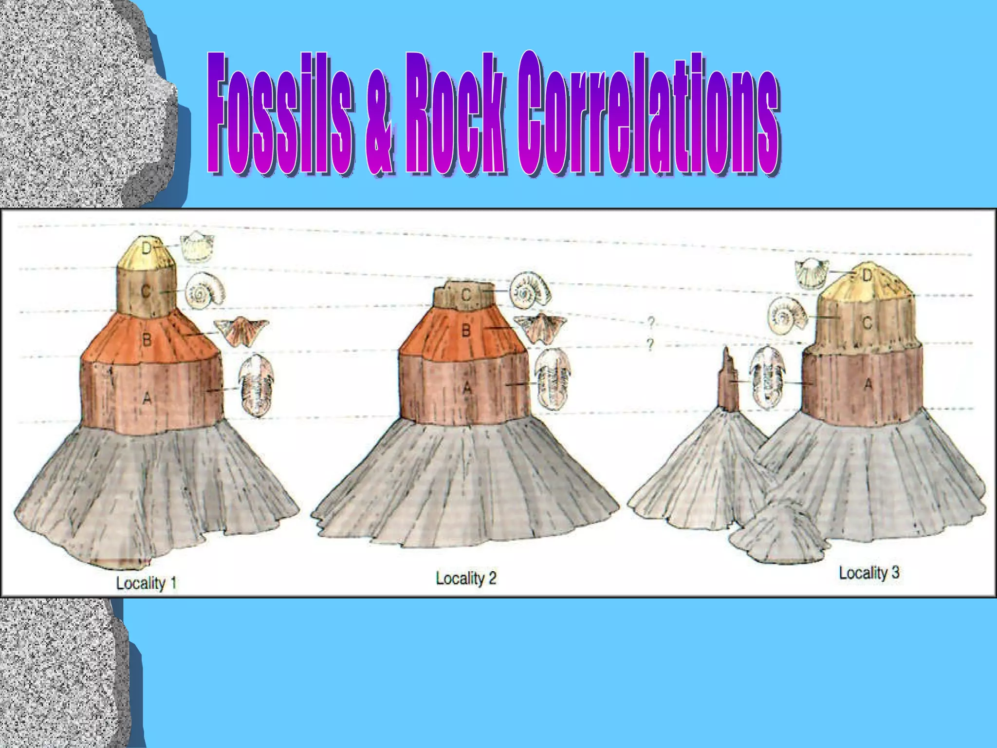 Fossils & Rock Correlations 