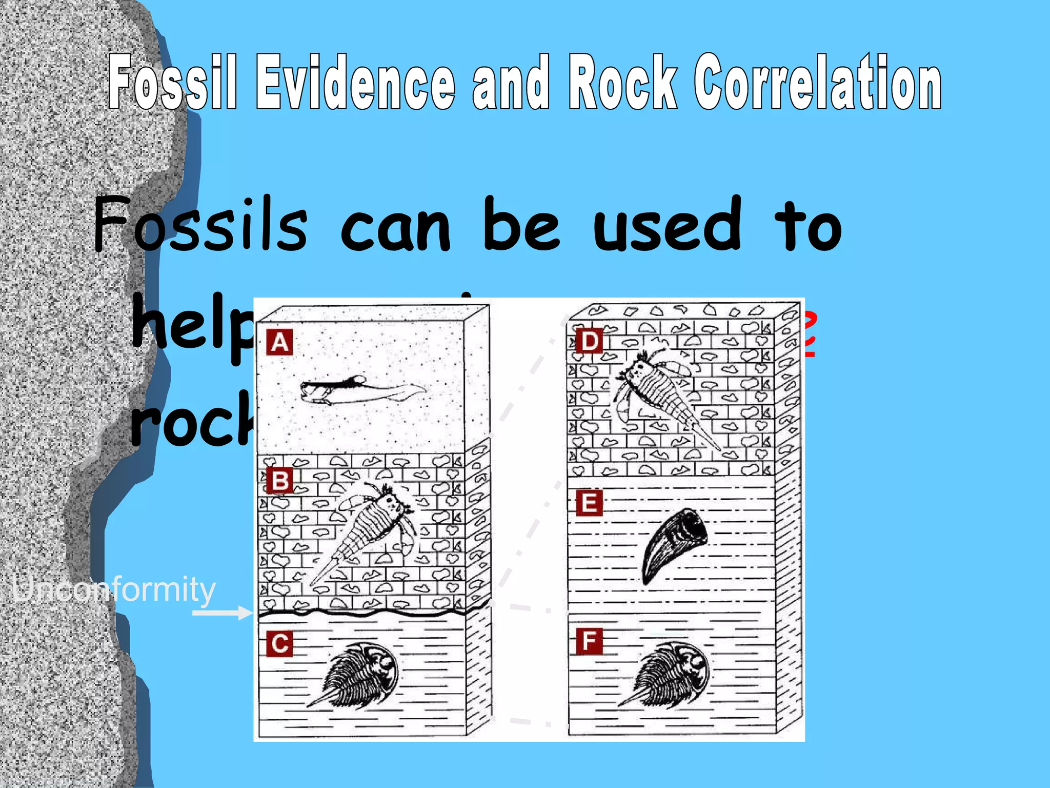 Fossils  can be used to help match  separate  rock layers Unconformity Fossil Evidence and Rock Correlation 