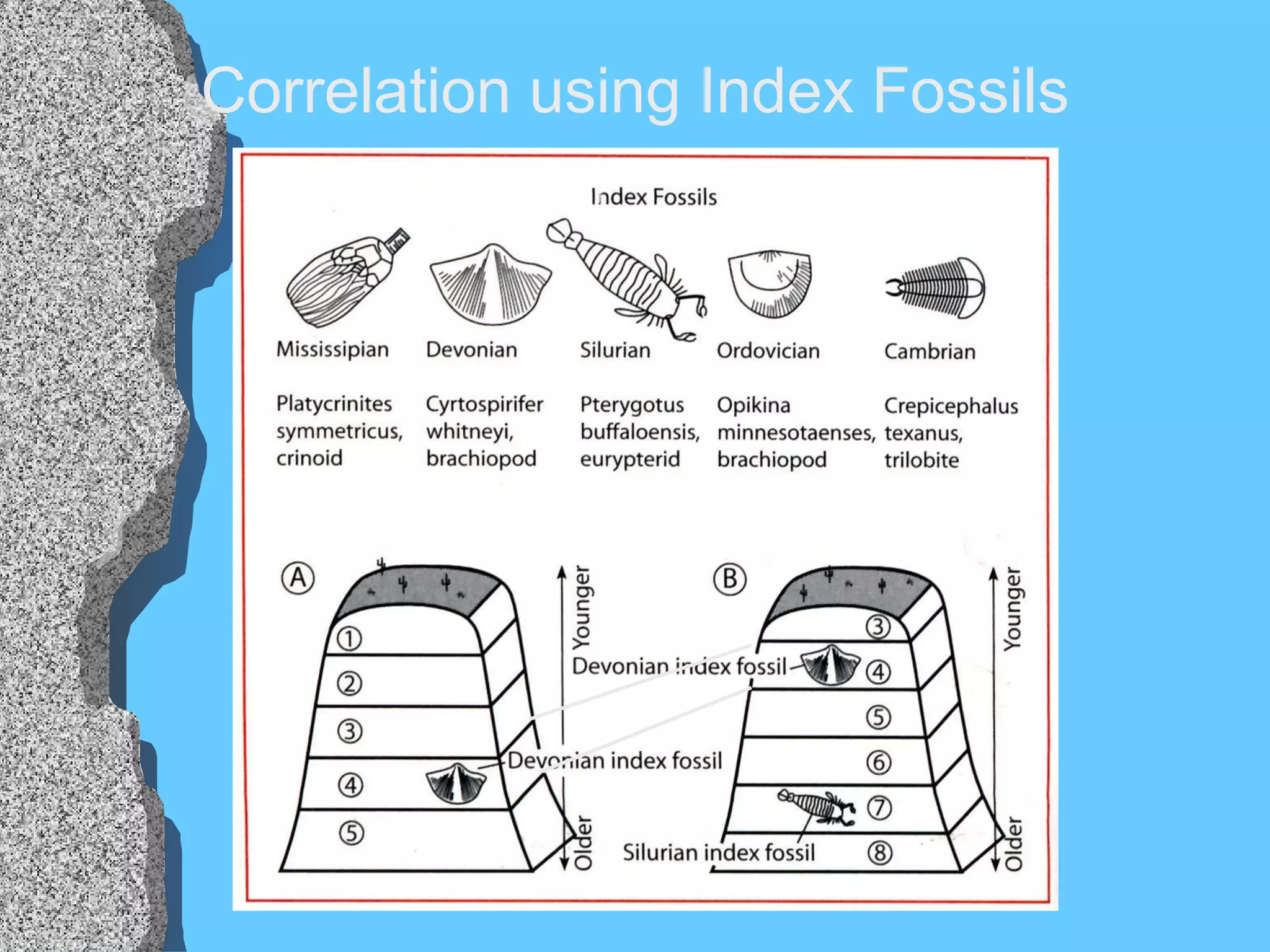 Correlation using Index Fossils 