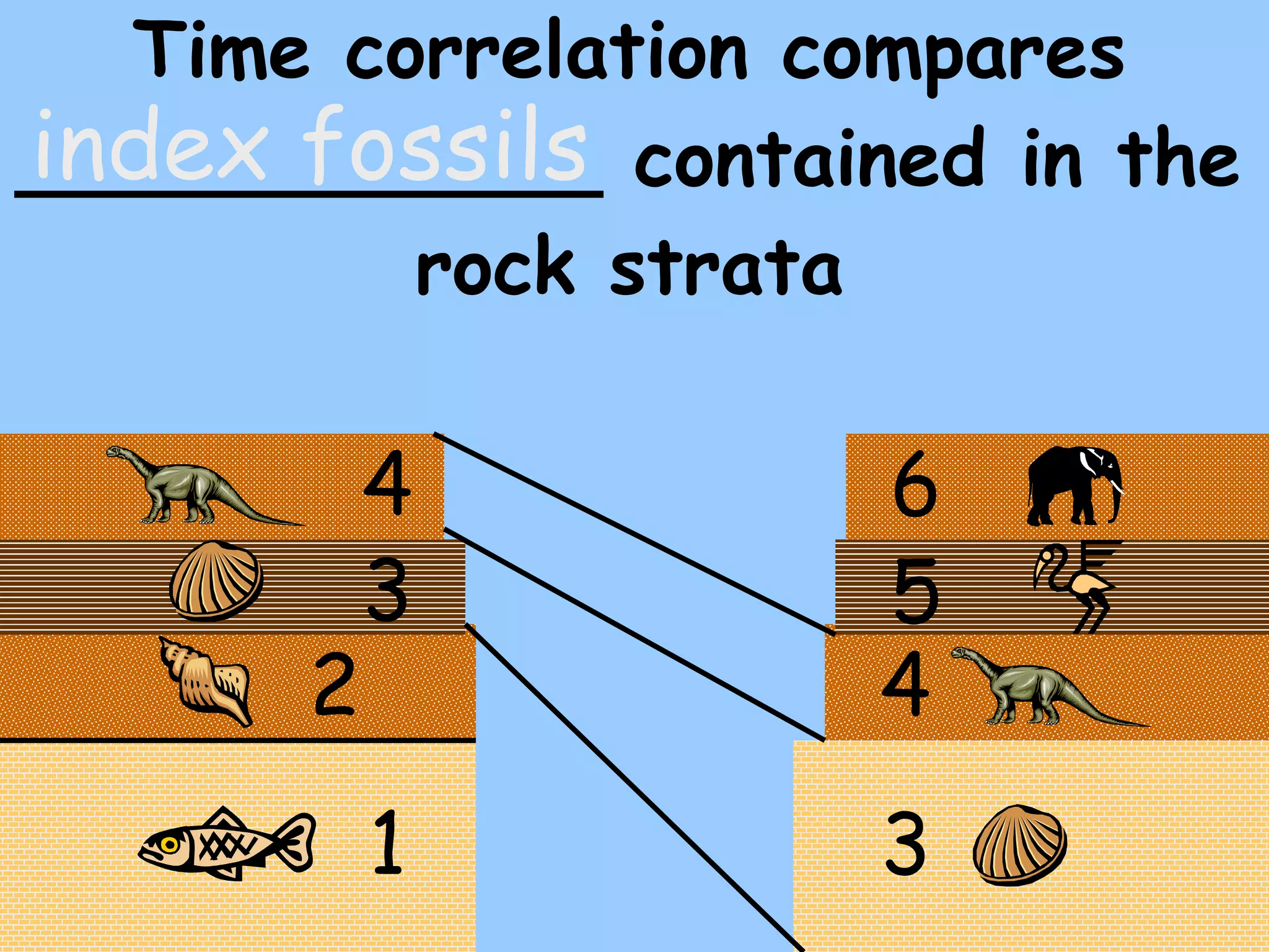 Time correlation compares ____________ contained in the rock strata index fossils 1 2 3 4 4 5 6 3 