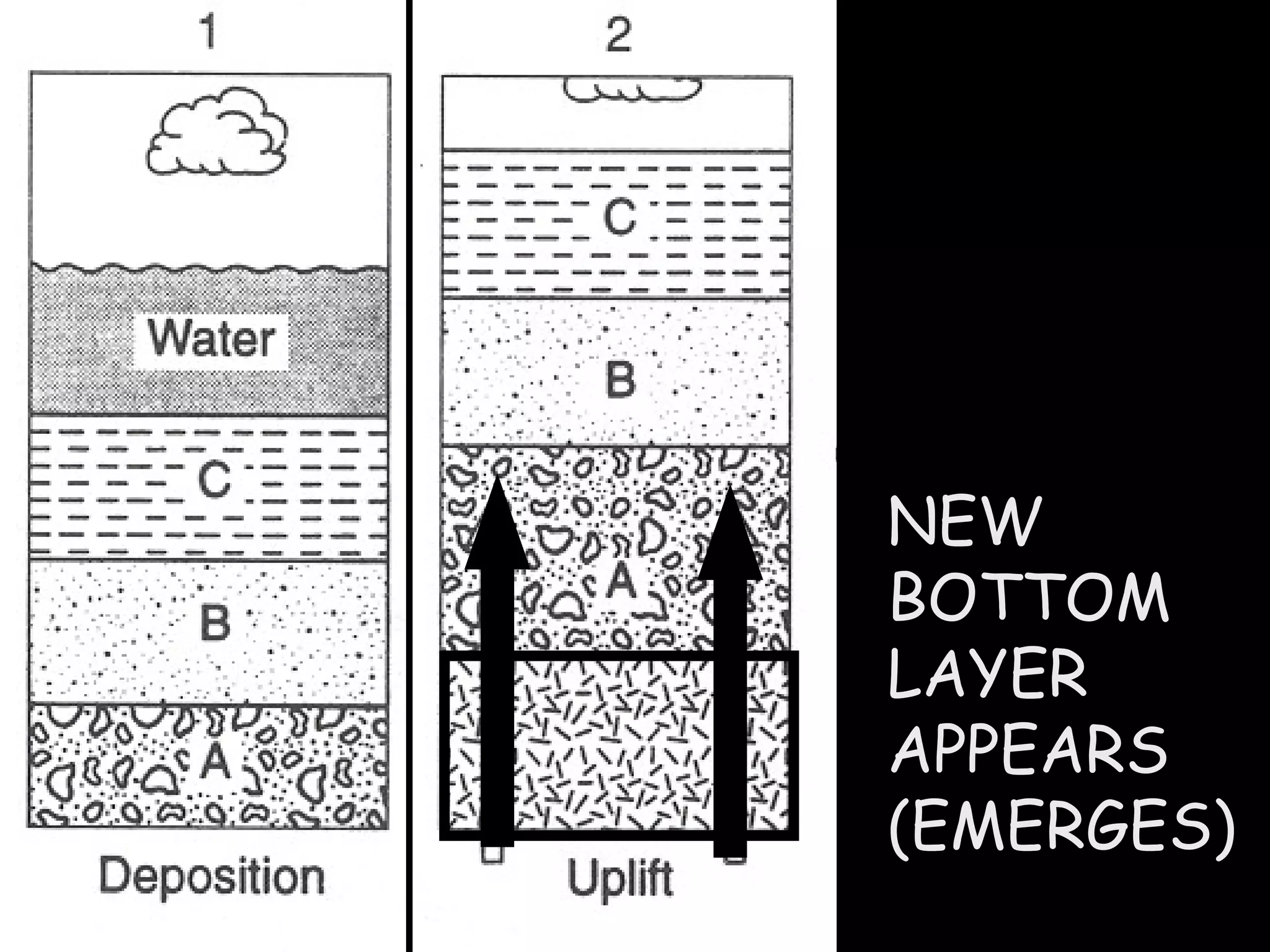 NEW BOTTOM LAYER  APPEARS (EMERGES) 