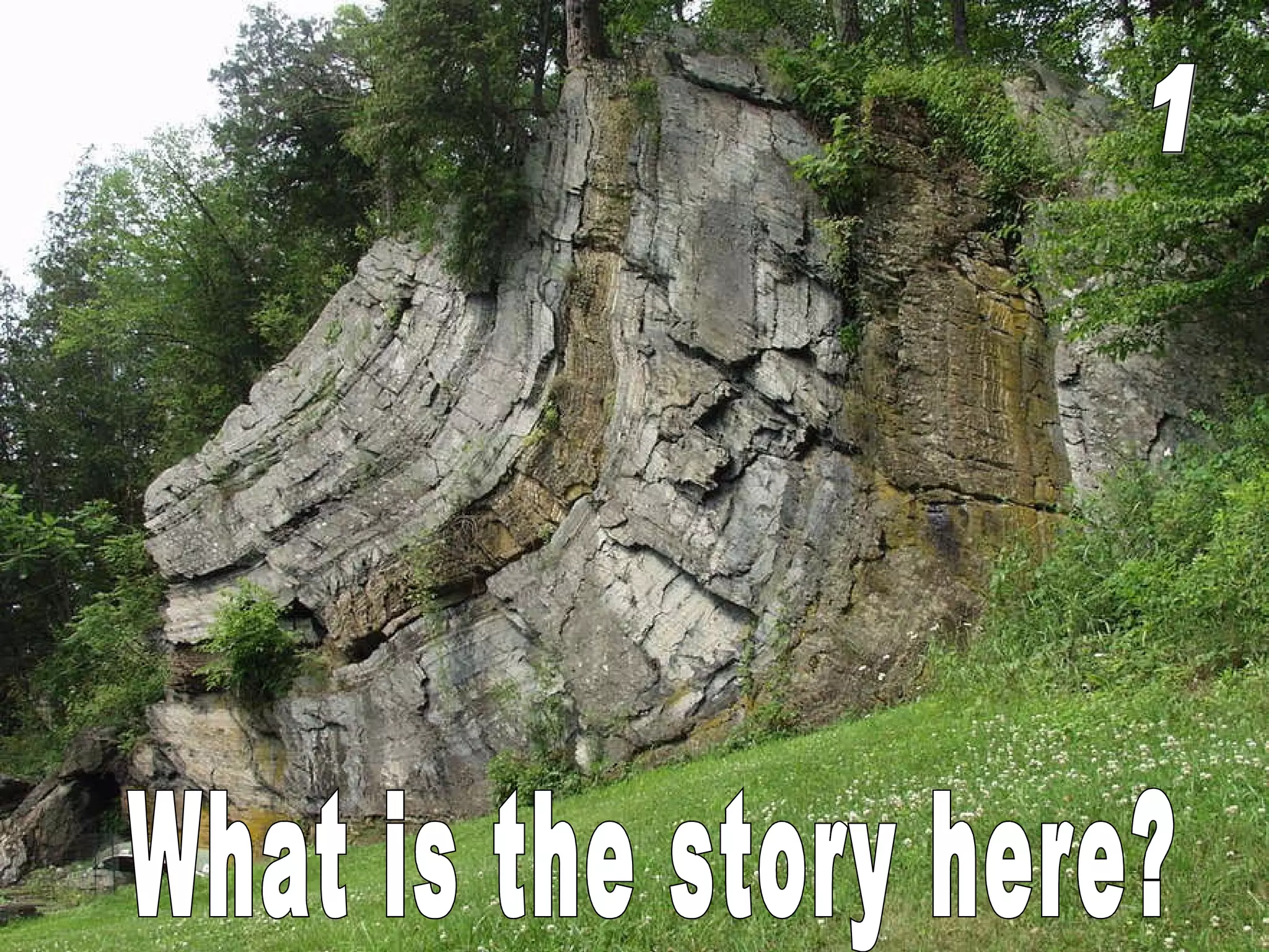 What is the story here? 1 