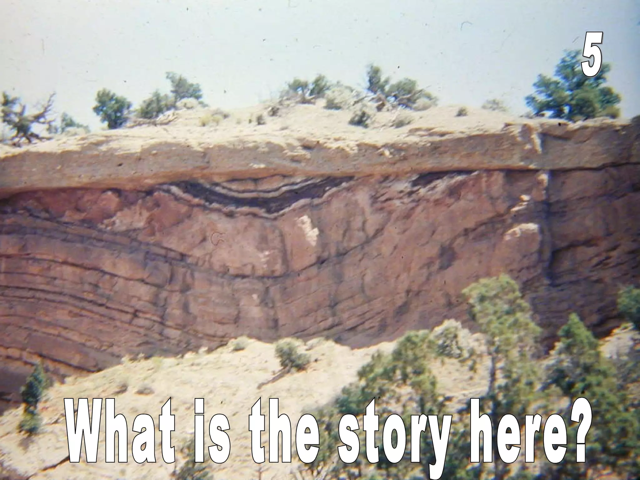 What is the story here? 5 