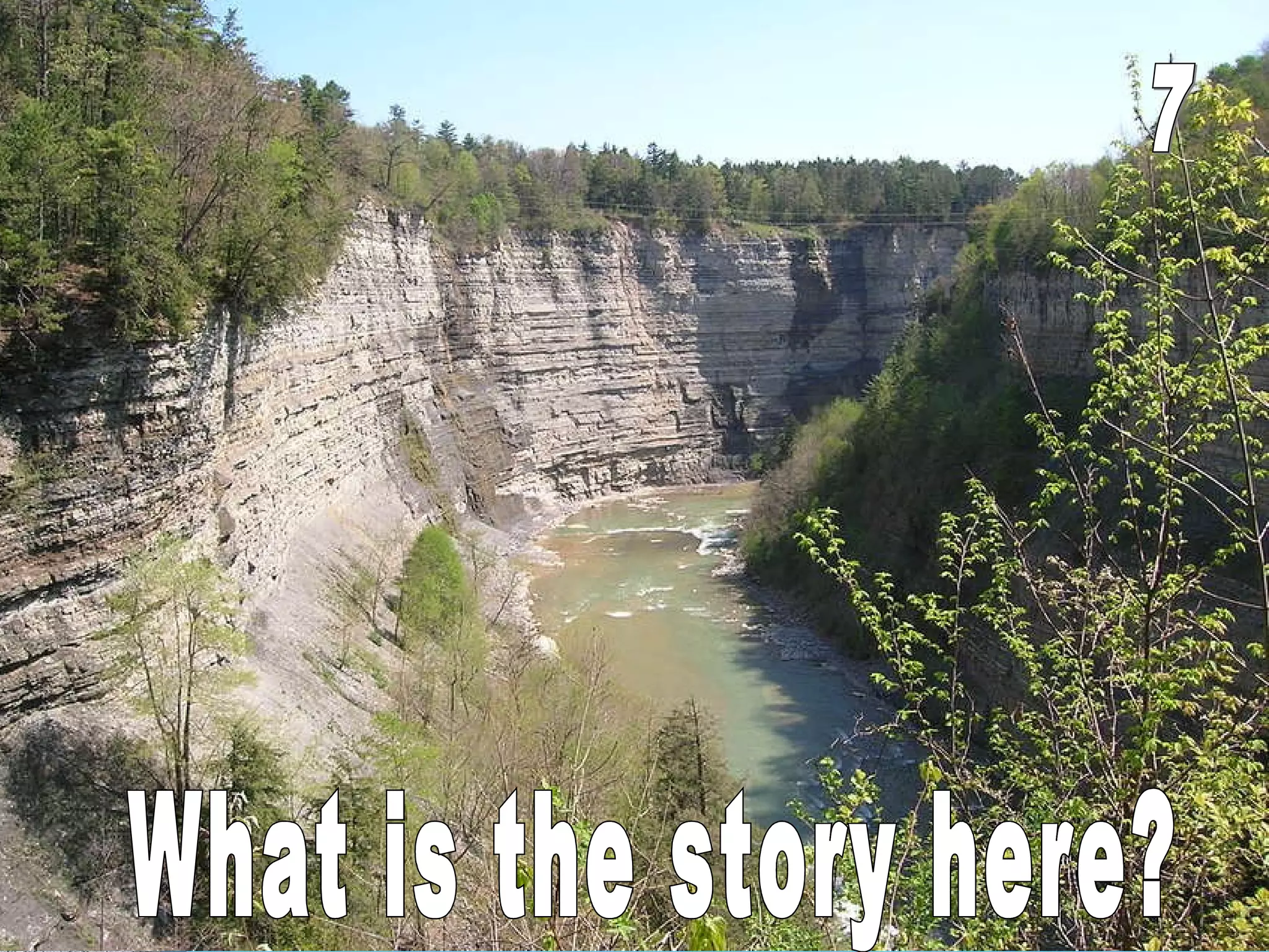 What is the story here? 7 