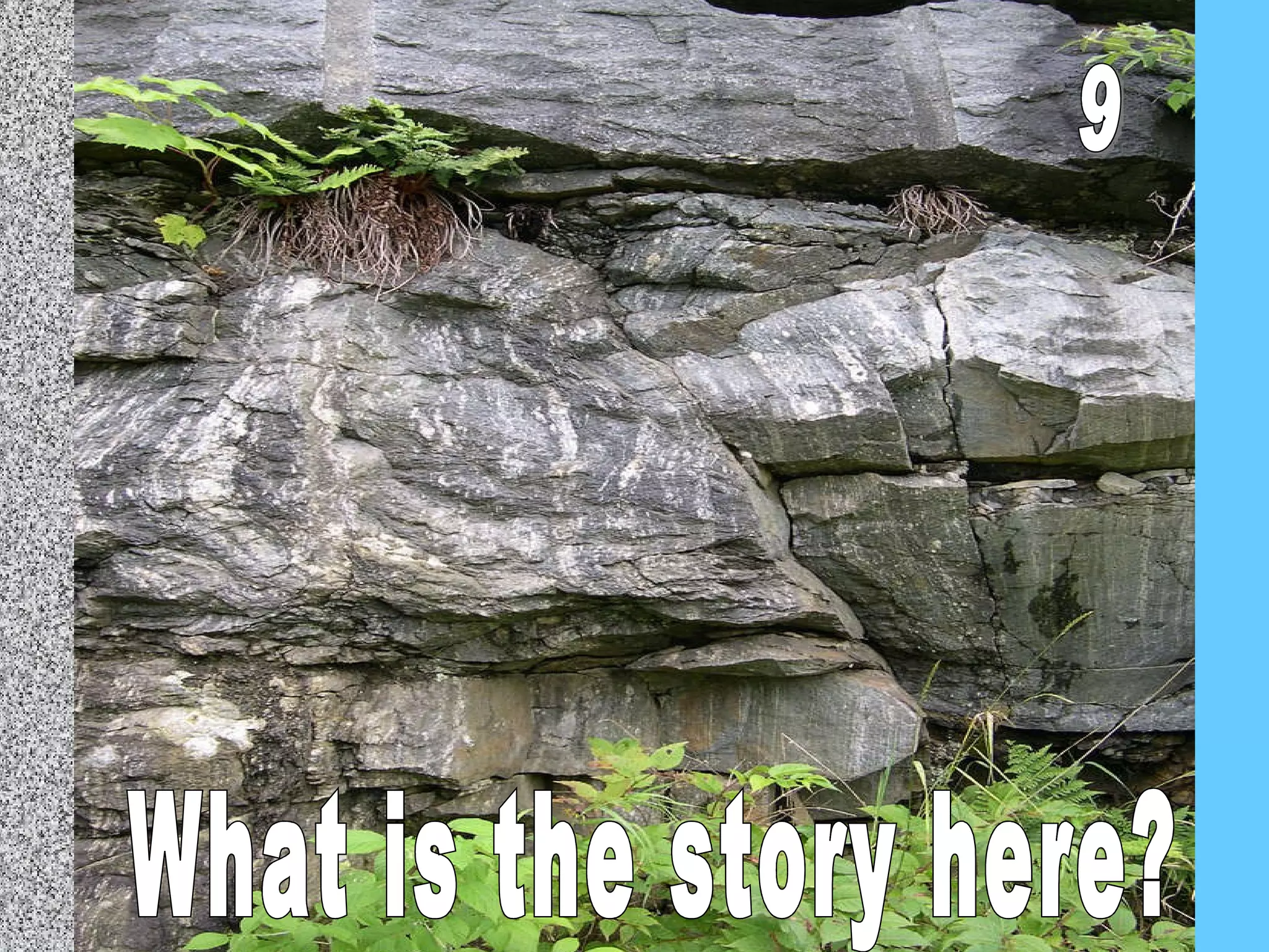 What is the story here? 9 