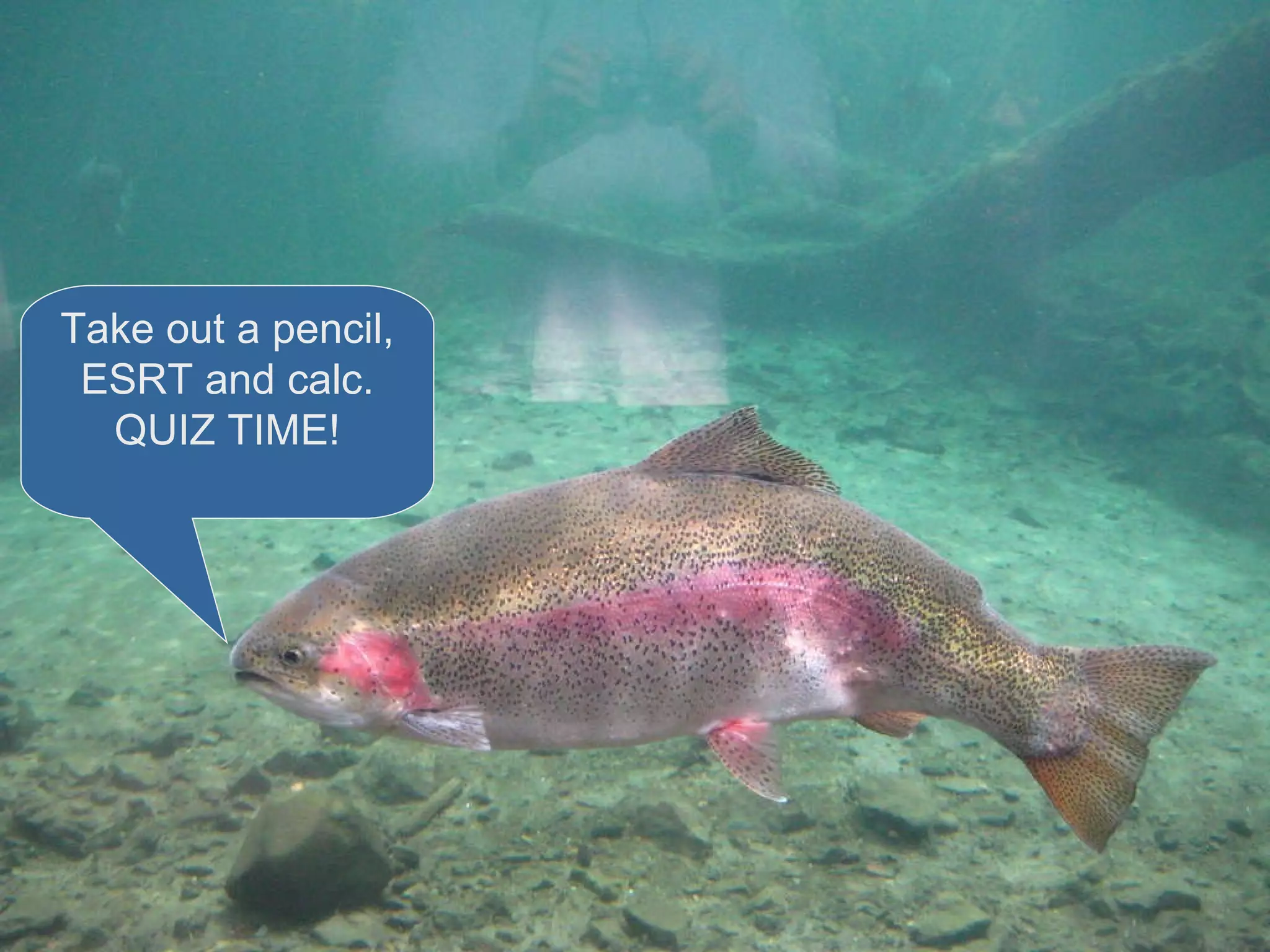 Take out a pencil, ESRT and calc. QUIZ TIME! 