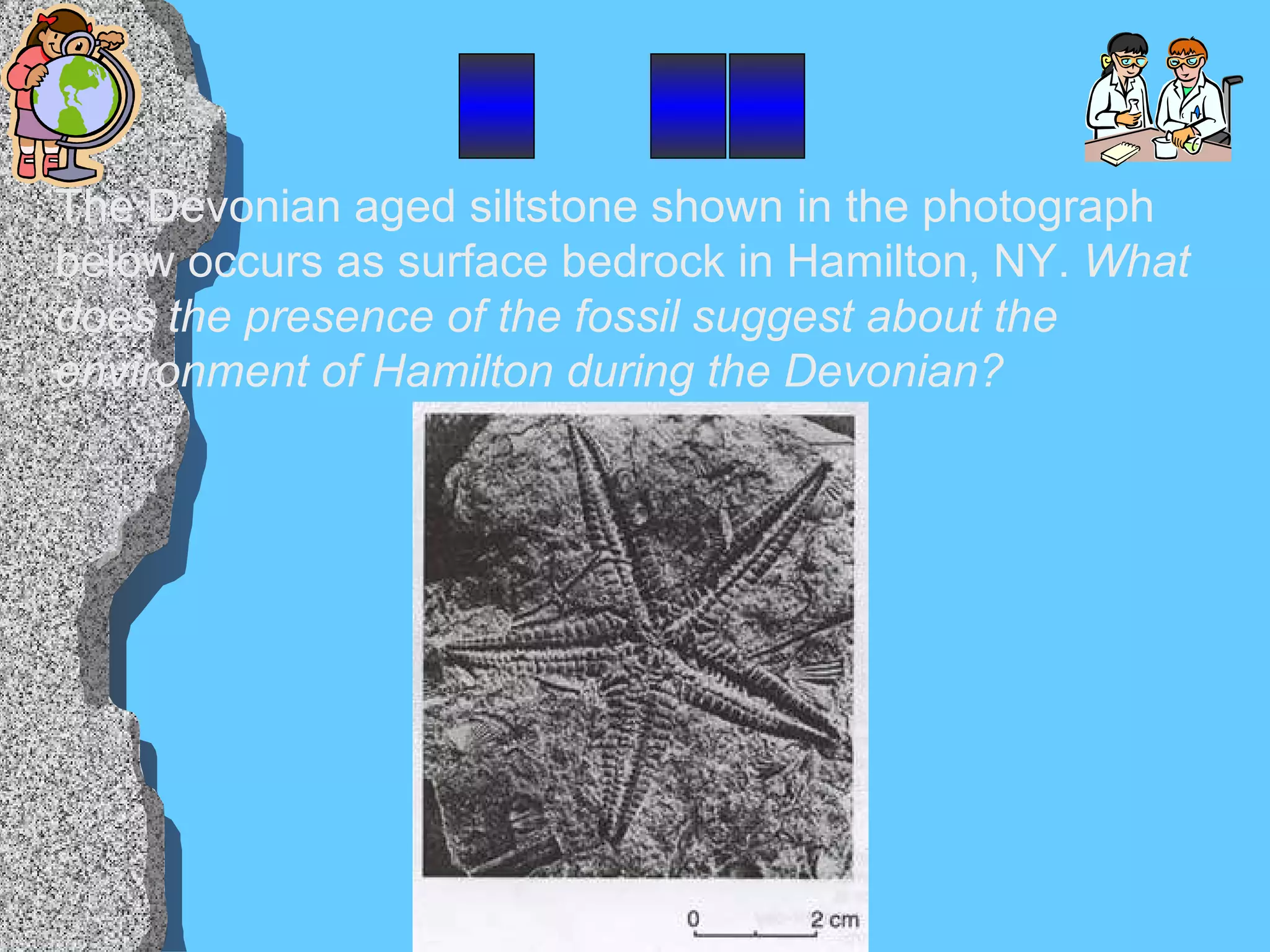 The Devonian aged siltstone shown in the photograph below occurs as surface bedrock in Hamilton, NY.  What does the presence of the fossil suggest about the environment of Hamilton during the Devonian? _  __ 