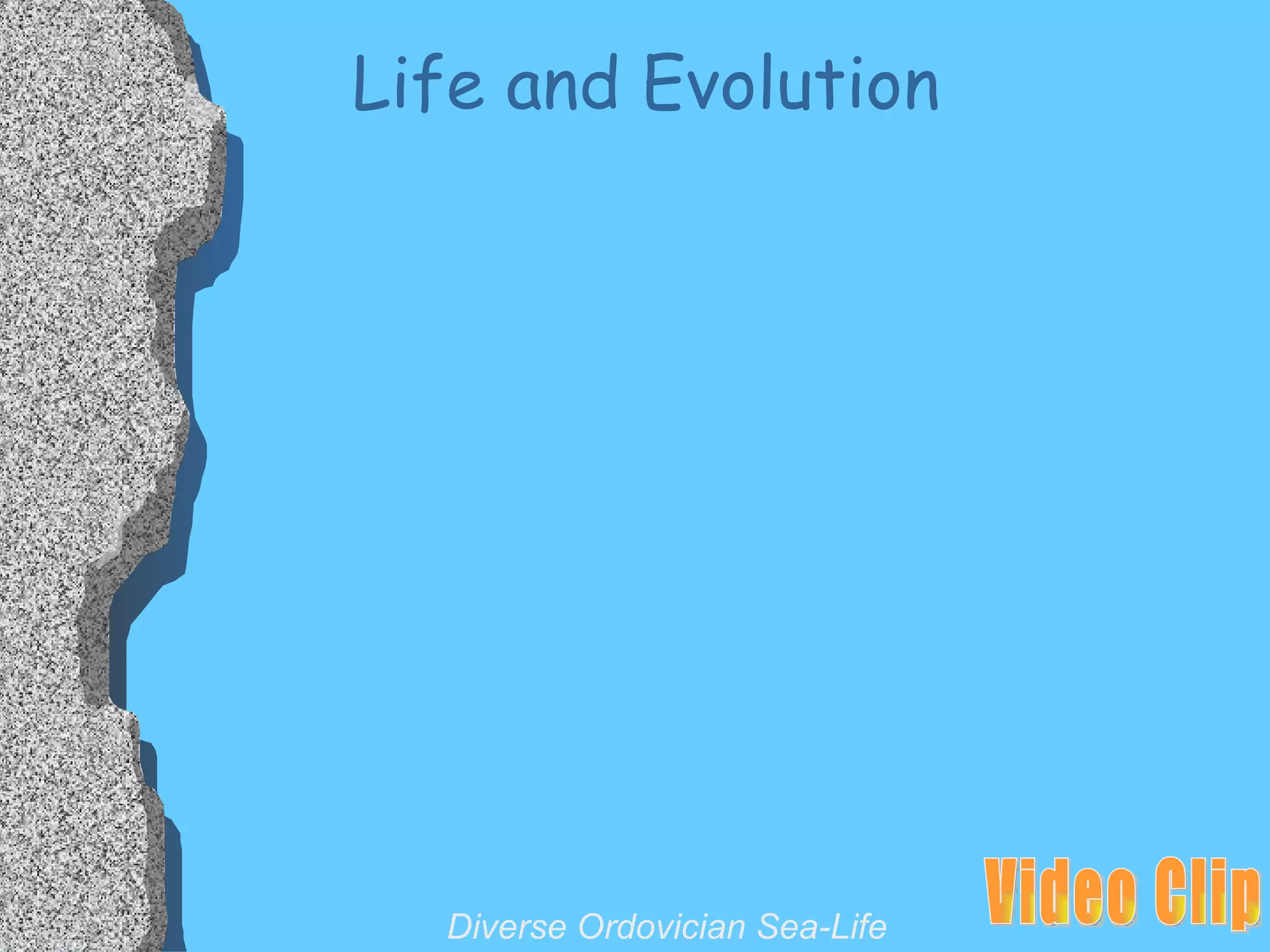 Life and Evolution Diverse Ordovician Sea-Life Video Clip 