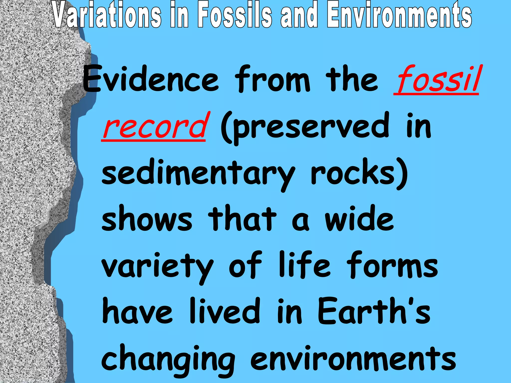 Evidence from the  fossil record  (preserved in sedimentary rocks) shows that a wide variety of life forms have lived in Earth’s changing environments over time.  Variations in Fossils and Environments 