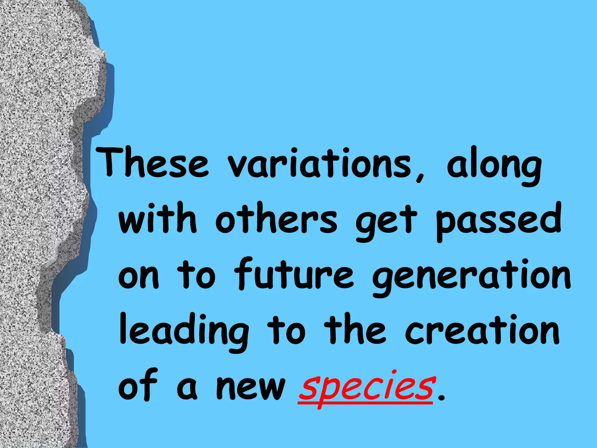 These variations, along with others get passed on to future generation leading to the creation of a new   species . 