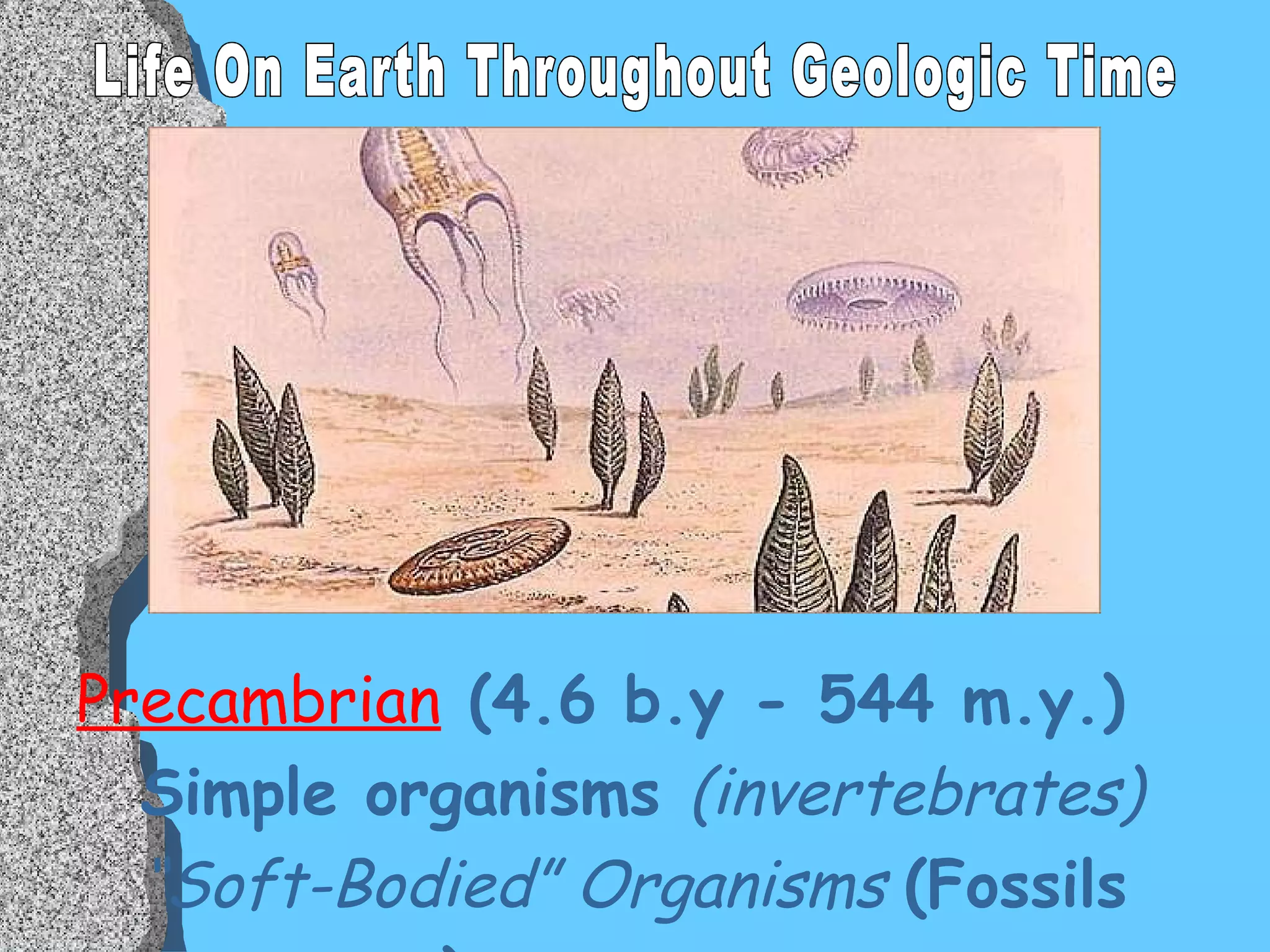Precambrian   (4.6 b.y - 544 m.y.) Simple organisms  (invertebrates) “ Soft-Bodied” Organisms  (Fossils are rare) Life On Earth Throughout Geologic Time 