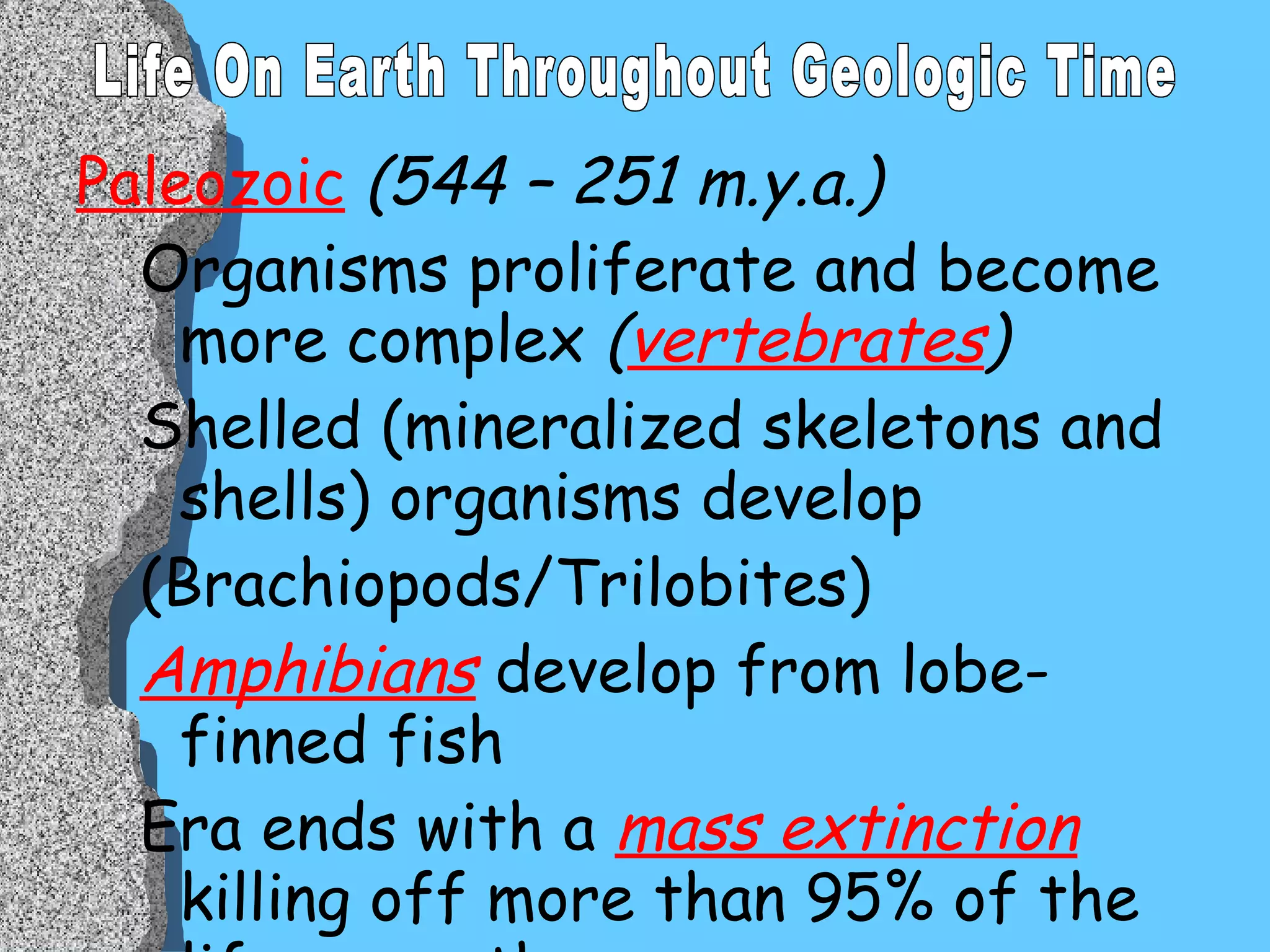 Paleozoic  (544 – 251 m.y.a.) Organisms proliferate and become more complex  ( vertebrates ) Shelled (mineralized skeletons and shells) organisms develop  (Brachiopods/Trilobites) Amphibians   develop from lobe-finned fish Era ends with a  mass extinction  killing off more than 95% of the life on earth Life On Earth Throughout Geologic Time 