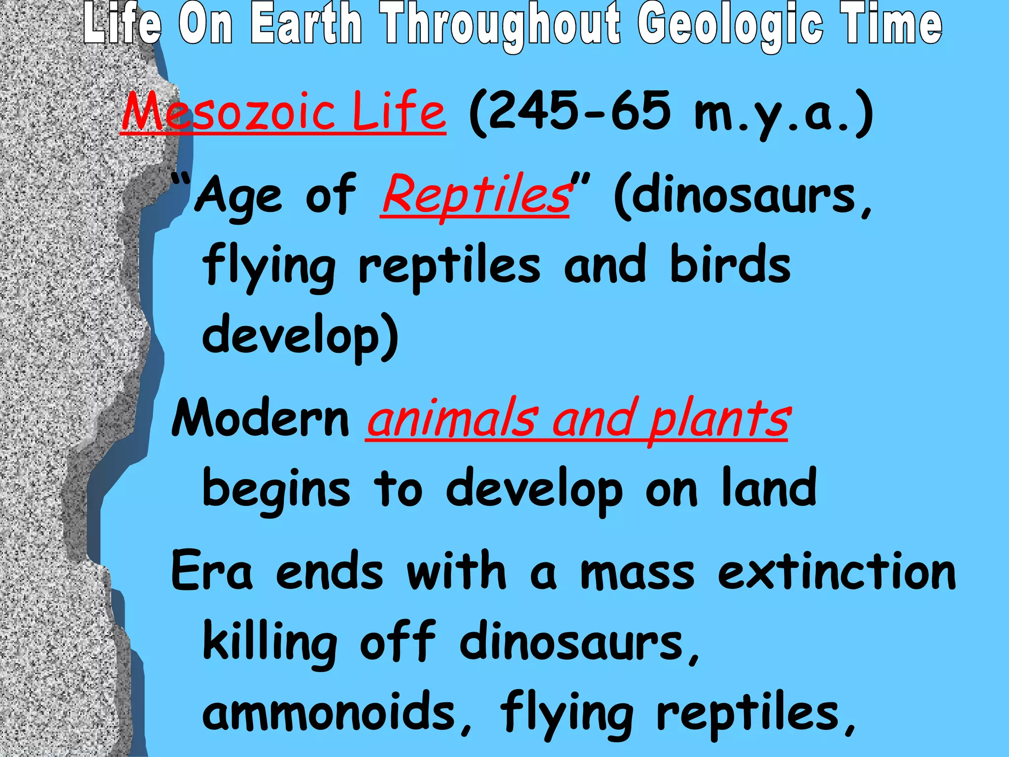 Mesozoic Life  (245-65 m.y.a.) “ Age of  Reptiles ” (dinosaurs, flying reptiles and birds develop) Modern   animals and plants  begins to develop on land Era ends with a mass extinction killing off dinosaurs, ammonoids, flying reptiles, and some swimming reptiles. Life On Earth Throughout Geologic Time 
