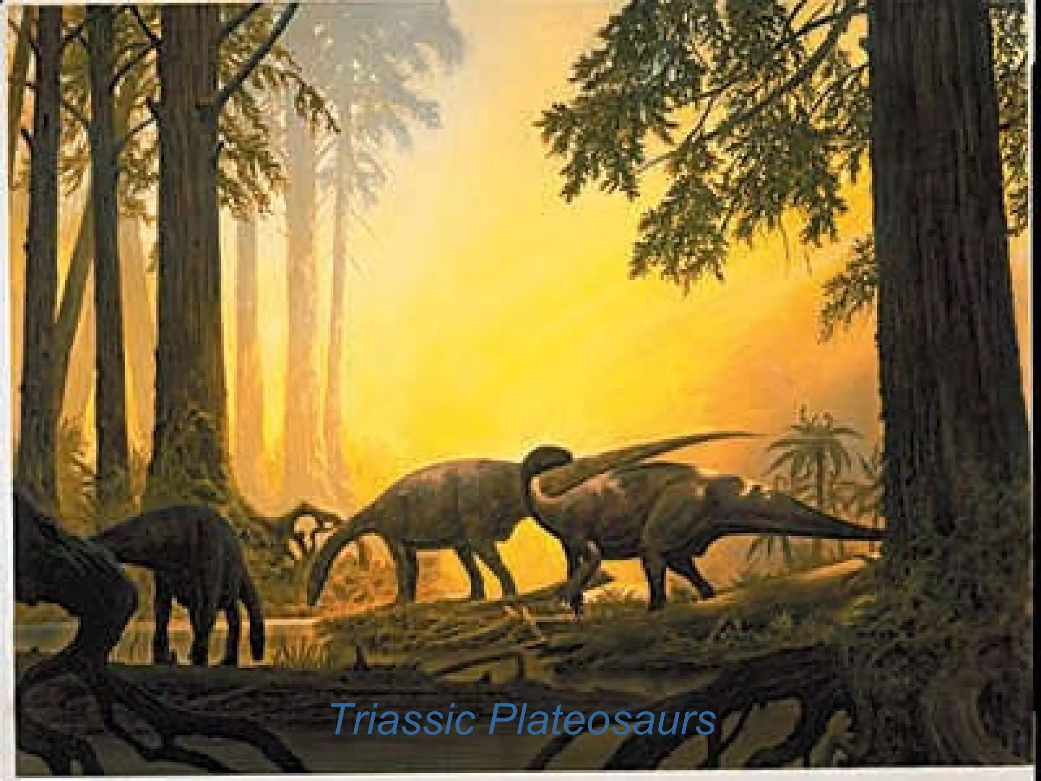 Triassic Plateosaurs 