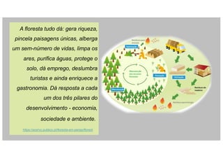 A floresta tudo dá: gera riqueza,
pincela paisagens únicas, alberga
um sem-número de vidas, limpa os
ares, purifica águas, protege o
solo, dá emprego, deslumbra
turistas e ainda enriquece a
gastronomia. Dá resposta a cada
um dos três pilares do
desenvolvimento - economia,
sociedade e ambiente.
https://acervo.publico.pt/floresta-em-perigo/florest
 