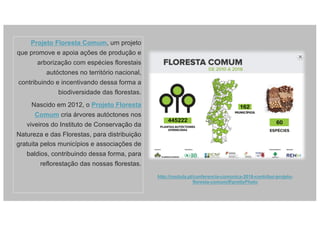 Projeto Floresta Comum, um projeto
que promove e apoia ações de produção e
arborização com espécies florestais
autóctones no território nacional,
contribuindo e incentivando dessa forma a
biodiversidade das florestas.
Nascido em 2012, o Projeto Floresta
Comum cria árvores autóctones nos
viveiros do Instituto de Conservação da
Natureza e das Florestas, para distribuição
gratuita pelos municípios e associações de
baldios, contribuindo dessa forma, para
reflorestação das nossas florestas.
http://noctula.pt/conferencia-comunica-2016-contribui-projeto-
floresta-comum/#!prettyPhoto
 