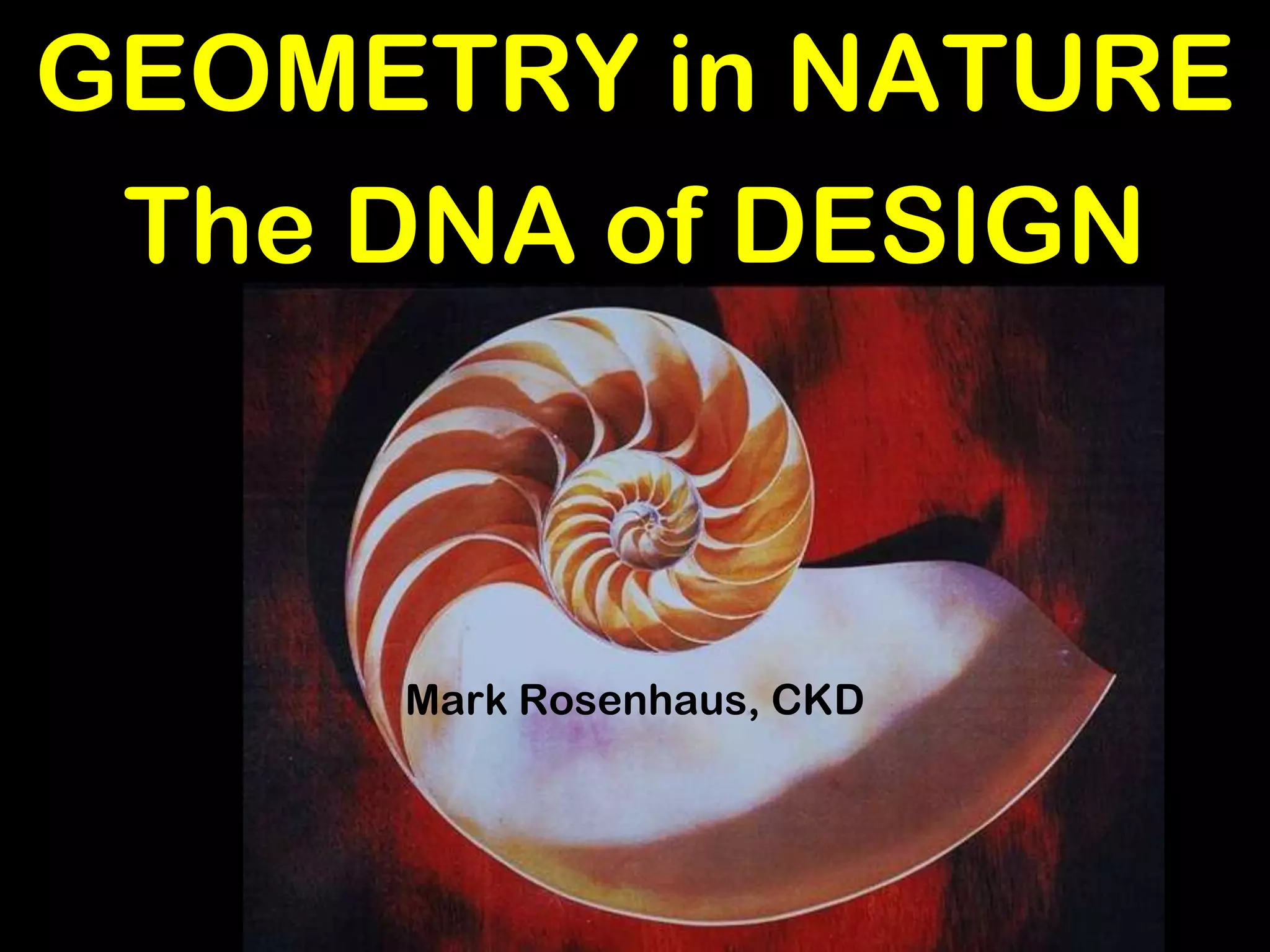 Geometry in Nature the DNA of Design for kitchens and bathrooms; art, painting, architecture