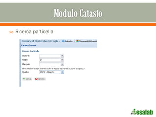  Ricerca particella
 