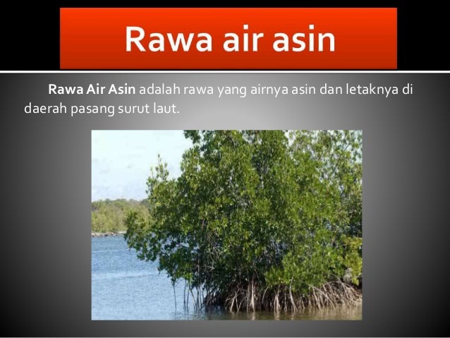 Danau Saguling Surut - Air Dangkal Tangkapan Ikan Di Waduk ...