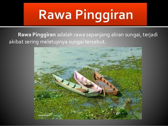 Rawa Danau Dan Klasifikasinya