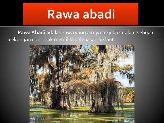 Rawa Danau Dan Klasifikasinya
