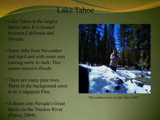 Lake Tahoe
• Lake Tahoe is the largest
  alpine lake. It is located
  between California and
  Nevada.

• Snow falls from November
  and April and with some rain
  causing snow to melt; This
  causes massive floods.

• There are many pine trees.
  These in the background seem
  to be Lodgepole Pine.
                                   *My mother-in-law in Lake Tahoe 2010

• It drains into Nevada’s Great
  Basin via the Truckee River
  (Peters, 2004)
 