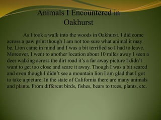 Animals I Encountered in
                     Oakhurst
        As I took a walk into the woods in Oakhurst. I did come
across a paw print though I am not too sure what animal it may
be. Lion came in mind and I was a bit terrified so I had to leave.
Moreover, I went to another location about 10 miles away I seen a
deer walking across the dirt road it’s a far away picture I didn’t
want to get too close and scare it away. Though I was a bit scared
and even though I didn’t see a mountain lion I am glad that I got
to take a picture. In the state of California there are many animals
and plants. From different birds, fishes, bears to trees, plants, etc.
 
