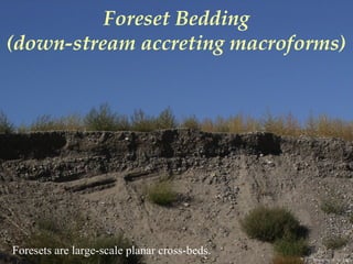 Photo by W. W. Little
Foreset Bedding
(down-stream accreting macroforms)
Foresets are large-scale planar cross-beds.
 