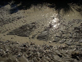 Photo by W. W. Little
 